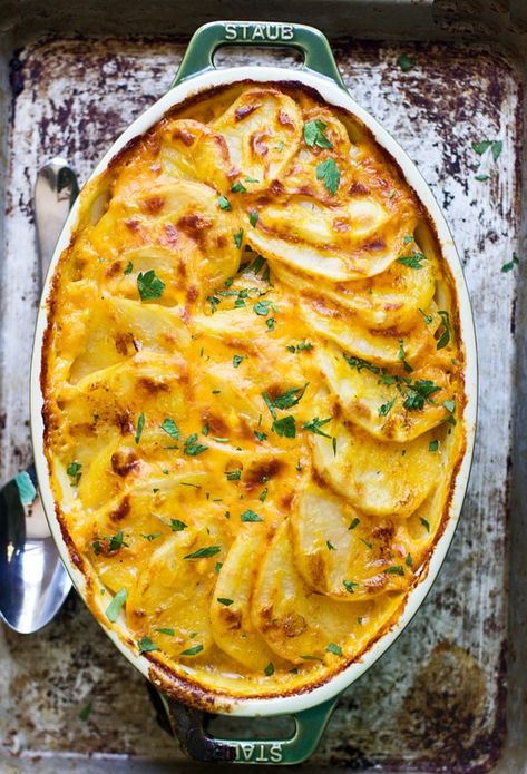 Creamy Pumpkin and Cheddar Scalloped Potatoes - Cooking for Keeps Cheddar Scalloped Potatoes, Pumpkin Recipes Dinner, Recipes Pumpkin, Savory Pumpkin Recipes, Savory Dinner, Thanksgiving Recipes Side Dishes, Pumpkin Pumpkin, Scalloped Potatoes, Thanksgiving Sides