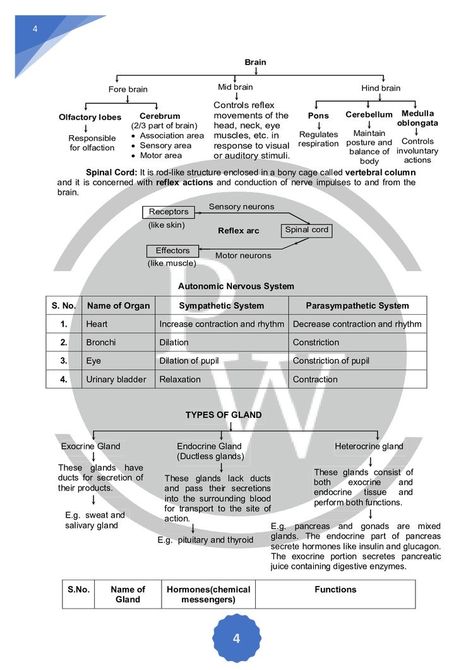 Chemical Control And Coordination Notes, Control And Coordination Class 10 Notes, Neural Control And Coordination Notes, Control And Coordination Notes, Physics Wallah, Biochemistry Notes, Learn Biology, Chemistry Basics, Learn Physics