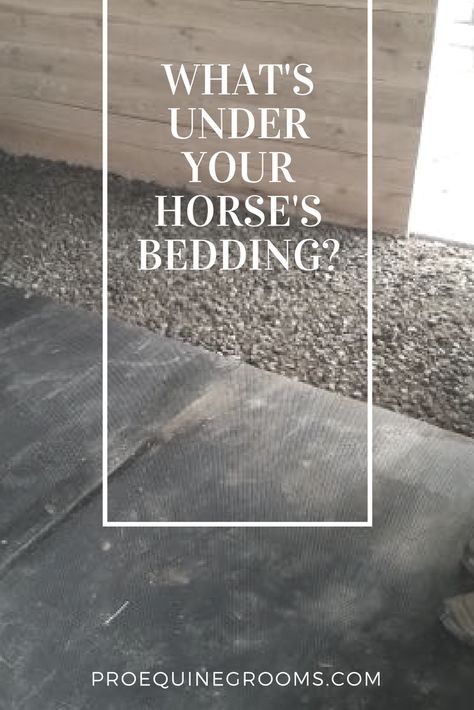 How to line your horse's stall for max drainage and comfort Horse Stall Footing, Horse Stall Bedding, Horse Stall Floor, Horse Maintenance, Horse Shelters, Stable Management, Stall Flooring, Horse Barn Ideas Stables, Horse Bedding