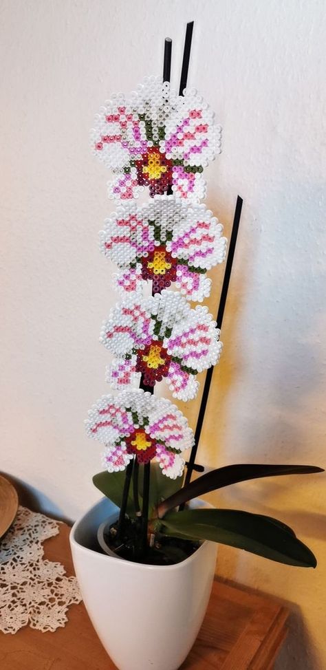 Orchid Perler Bead Pattern, Pearler Bead Flower Patterns, Hama Beads Patterns Flower, 3d Perler Bead Flower Patterns, Perler Bead Flower Patterns, Hama Beads Flower, Flower Perler Bead Patterns, Perler Bead Flowers, Perler Flower