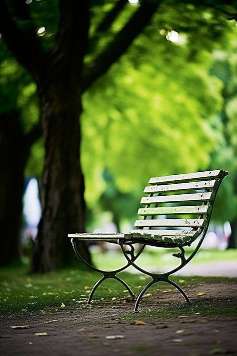 Chair Wallpaper, Park Background, Tree Background, Grass Background, Grass Wallpaper, Beautiful Profile Pictures, Nature Background Images, Street Trees, Bench Outdoor