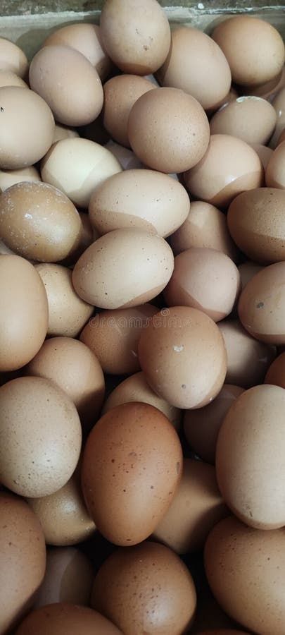 One Crate of Chicken Eggs stock photography Eggs Image, Chicken Eggs, Stock Photography, Photo Image, Design Inspiration, Stock Photos, Chicken, Photography, Design