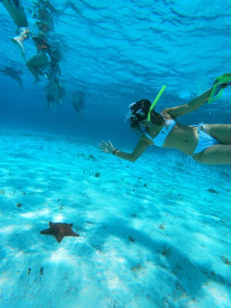 Snorkeled with starfish just 30 minutes from the Island of Cozumel in a beach called, ‘Playa Cielo’. Cozumel Mexico Cruise, Cozumel Snorkeling, Caribbean Honeymoon, 2025 Moodboard, Cancun Beaches, Nature Trip, Mexico Cruise, 2025 Goals, Cozumel Mexico