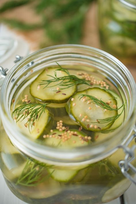 Pickle Chips Recipe, Carolyn Ketchum, Easy Dill Pickles, Pickle Recipes Homemade, Dill Pickle Recipe, How To Make Pickles, Dill Pickle Chips, Crispy Chips, Pickle Chips