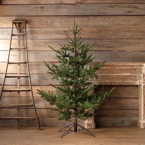 7.5 Foot Lighted Noble Fir Tree | Antique Farmhouse Noble Fir Christmas Tree, Noble Fir Tree, White Tulip Bouquet, Cool Trees, Lit Christmas Tree, Living Room Items, Modern Farmhouse Christmas, 3 Season Porch, Fir Christmas Tree