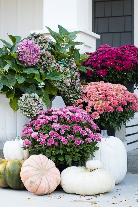 Purple fall front porch, dark grey sided home featuring mums in shades of purple with hints of faux orange florals and leaves Rustic Fall Porch, Fall Front Porch Decor, Fall Deco, Diy Outdoor Decor, Fall Front Porch, Fall Outdoor Decor, Front Porch Decorating, Fall Decorations Porch, Fall Front