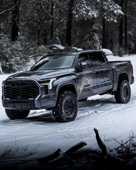 Tundra Lifted 4x4, Toyota Pickup Truck, Toyota Trucks Tundra, 2024 Toyota Tundra, 2023 Gmc Canyon, Custom Tundra, Toyota Tundra Off Road, Tundra Car, Wolf In The Woods