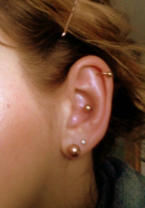 Inner Conch Piercing, Gold Labret Inner Conch, Inner Conch Piercing, Conch Piercing, Big Earrings, Piercing Tattoo, Conch, Tattoos And Piercings, Ear Piercings, Diamond Earrings