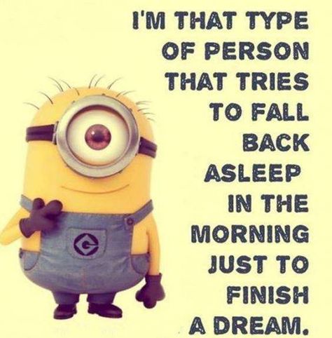 Minion Meme, Minion Memes, Funny Minion Pictures, Funny Minion Memes, Minion Pictures, Minion Jokes, Cute Minions, A Minion, Sleep Funny