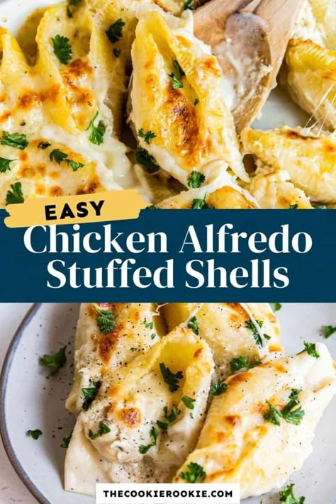 Alfredo Shells, Stuffed Shells Recipes, Jumbo Shell Recipes, The Cookie Rookie Recipes, Cookie Rookie Recipes, Stuff Shells, Homemade Chicken Alfredo, Chicken Alfredo Stuffed Shells, Alfredo Stuffed Shells