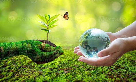 Concept Save the world save environment The world is in the grass of the green bokeh background Growing Seedlings, Save Environment, World Environment Day, Environment Day, Environmental Conservation, Bokeh Background, Green Earth, Sustainable Development Goals, Save The World