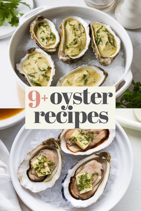 Oysters are a tasty treat that can be prepared in so many ways! From baked to grilled to fried these simple recipes will make your taste buds dance. Impress your family with savory garlic butter oysters or spicy seafood stew. Perfect for a fun dinner or special occasion! Enjoy seafood tonight! Airfryer Oysters, Oven Baked Oysters, Grilled Oyster Recipes, Roasted Oysters In Oven, Cooked Oyster Recipes, Oyster Recipes Grilled, Air Fryer Oysters, Fresh Oyster Recipes, Oyster Recipes No Shell