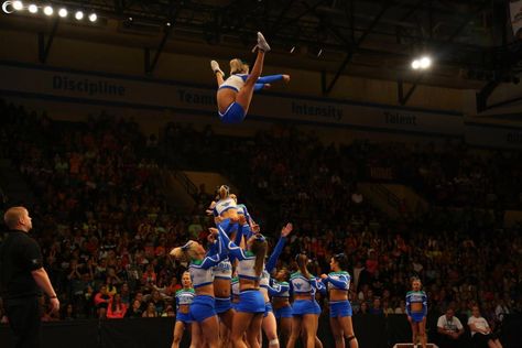 Basket Toss Cheerleading Stingrays Orange, Stingray Allstars, Orange Basket, Basket Toss, Allstar Cheerleading, Cheer Gear, Cheerleading Competition, Cheers Photo, Cheerleading Pictures