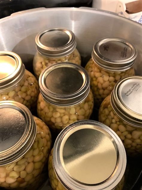 How to use a Pressure Cooker to Can Peas < At Home in the Wildwood Canning Peas, Crowder Peas, Fresh Peas, Using A Pressure Cooker, Pressure Canner, Water Bath Canning, Pressure Canning, Canned Tomato Sauce, How To Can Tomatoes