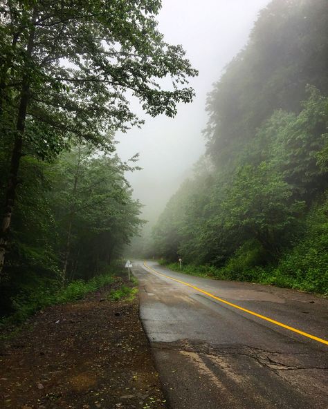 Jungle road Abandoned Road, North Of Iran, Iran, Country Roads, Train, Road, Pins, Quick Saves, Nature