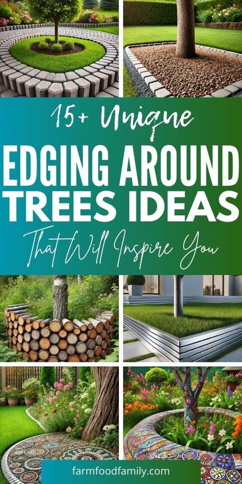 15+ Innovative Edging Around Trees Ideas for Every Garden Style 66 Small Garden Around Tree, Aerial Garden Design, Backyard Landscaping Around Trees, Edging Around Trees Ideas, Around Tree Landscaping Ideas, Base Of Tree Landscaping, Landscaping Around Trees Front Yards, Plants Around Trees, Tree Garden Bed