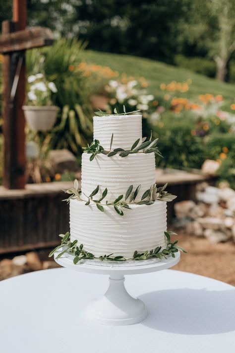 Wedding Cakes 2 Tier Unique, Lightly Iced Wedding Cake, Wedding Cake Olive, Sage Green Wedding Colors, Cake Pedestal, Small Wedding Cakes, Green Wedding Colors, Sage Green Wedding, Simple Wedding Cake