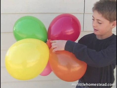 Egg Drop Project Ideas, Ideas With Balloons, Egg Drop Project, Project For School, Timeline Project, March Break, Summer Science, Peanut Butter Jar, Broken Egg