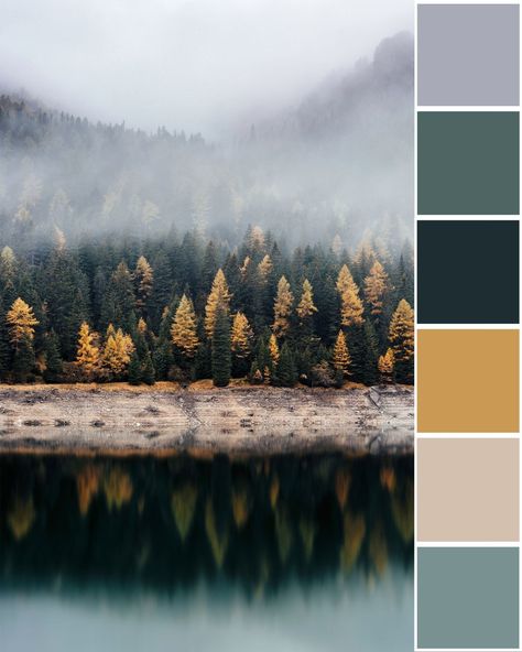 How Your Favorite Color Palette Will Determine Your Elopement Location — Swell & Stone Earth Jewel Tone Color Palette, Pnw Color Palette, Wedding Color Schemes Winter, Jewel Tone Color Palette, Winter Wedding Fashion, Winter Wedding Color Palette, Muted Sage, Sunset Color Palette, Earth Tone Color Palette