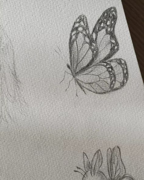 Butterfly Sketch, Butterfly Drawing, Easy Doodle Art, Easy Doodles Drawings, Pretty Drawings, Art Diary, Doodle Art Designs, Art Drawings Sketches Creative, Hand Art Drawing