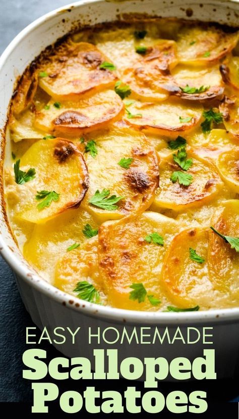 Homemade Potatoes, Potatoes Scalloped, Homemade Scalloped Potatoes, Keto Easter, Easy Scalloped Potatoes Recipe, Dinner Meat, Scalloped Potatoes Easy, Scalloped Potatoes Recipe, Dinner Keto