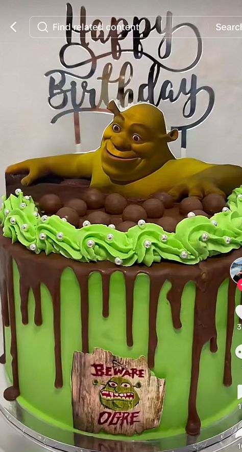 Shrek Bday Cake, Shrek Cupcakes, Shrek Cake Ideas, Shrek Birthday Cake, Shrek Birthday Party, Shrek Cake, Shrek Party, 18th Birthday Party Themes, Fun Halloween Food