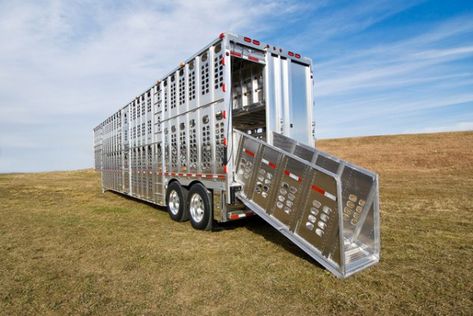 Silverstar Cattle Trailers, Horse Transport, Stock Trailer, Livestock Trailers, Country Trucks, Aluminum Trailer, Trailer Diy, Medium Duty Trucks, Trailer Build