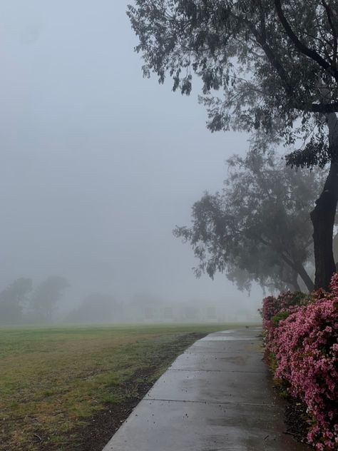 Gloomy Weather Wallpaper, Cold Weather Aesthetic, Foggy Garden Aesthetic, Twilight Weather, Grey Hour, Foggy Spring, Foggy Aesthetic Hill, Foggy Winter, Morning Forest