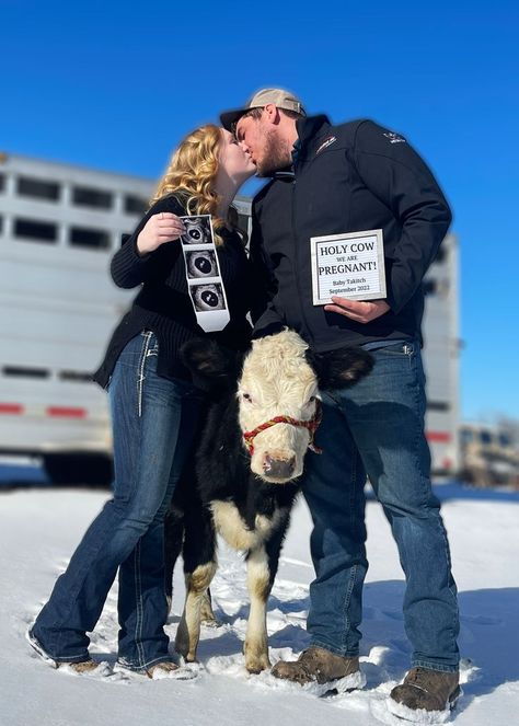 My sister wanted cute photos to announce her pregnancy that also tied into their every day lives. We came up with the idea to use one of our favorite baby cows since they live on a working farm! We're Pregnant, Pregnancy Announcement Photoshoot, Cute Family Pictures, Cute Pregnancy Announcement, Working Farm, Pregnancy Announcement Photos, Farm Baby, Baby Room Inspiration