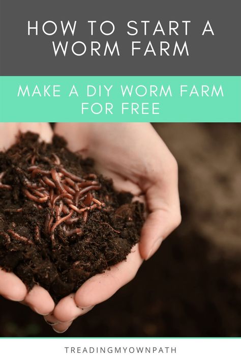 How to Build a DIY Worm Farm How To Make A Worm Farm, Diy Wormery, Diy Worm Farm, Eco Friendly Tips, Organic Waste, Plastic Free Living, Living Better, Worm Farm, Rubbish Bin