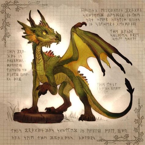 Pseudodragon Familiar Art, Cottagecore Dragon, European Dragon, Dragon Types, Dragon Dnd, Sun Dragon, Dragon Creature, Dragon Hoard, Old Dragon