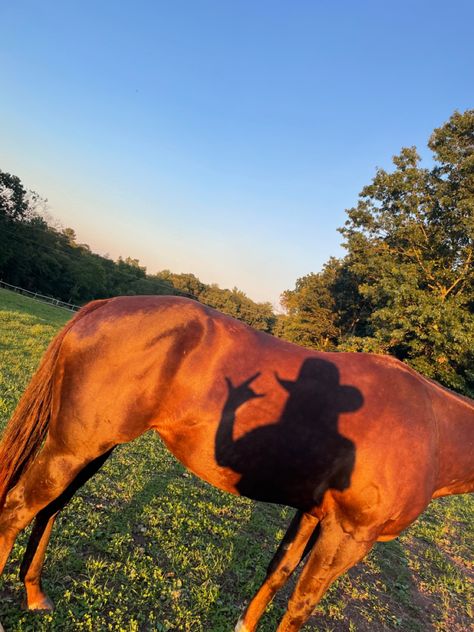 Devney Perry Aesthetic, Indigo Ridge, Devney Perry, Horse Photography Poses, Horsey Life, Foto Cowgirl, Pictures With Horses, Cowgirl Pictures, Western Photo