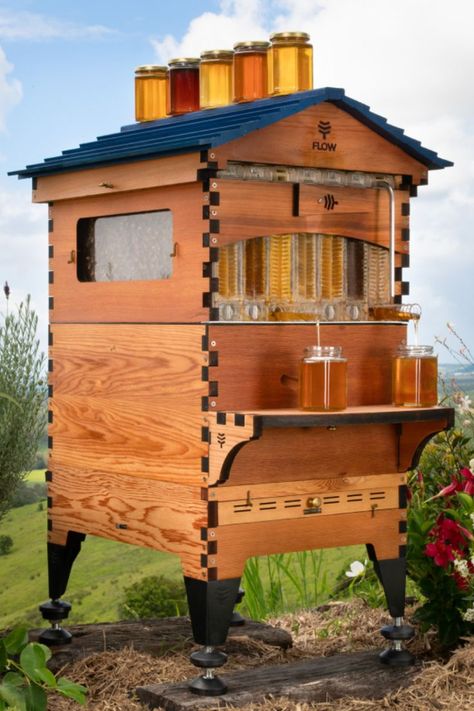 Beekeeping with Flow is a fun and educational hobby that can be done in the comfort of your own backyard! Backyard Beehive, Hive Stand, Harvesting Honey, Flow Hive, Backyard Bee, Bee Houses, Bee Colony, Backyard Beekeeping, Bee Boxes