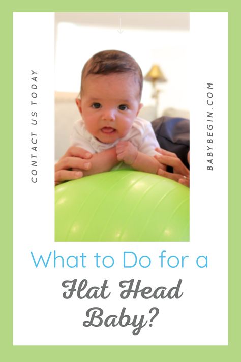 With the prevalence of babies sleeping on their backs to prevent SIDS, more parents are noticing that they have what appears to be a flat head baby. But sleeping on their backs is not the only reason that babies develop a flat head. The newborn head shape is flexible to accommodate their rapidly growing brains, so it’s easy for an infant to become a flat head baby if he or she spends a great deal of time in various carriers. All of these conveniences can give an infant Flat Head Syndrome. Cats With Flat Faces, How To Prevent Flat Head Infants, How To Help Baby Sit Up On Their Own, Flat Head Baby, Flat Head Syndrome, Baby Head Support, Baby Reading, Baby Health, Flat Head