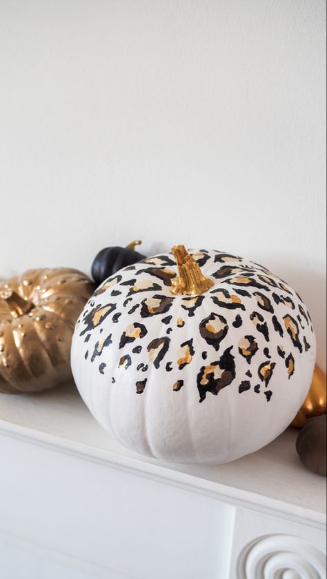 Cute Painted Pumpkin Ideas, Fall Greetings, Pumpkin Painting Party, Cheetah Pumpkin, Creative Pumpkin Painting, Pumpkin Diy, Pumpkin Decorating Contest, No Carve Pumpkin Decorating, Pumpkin Contest