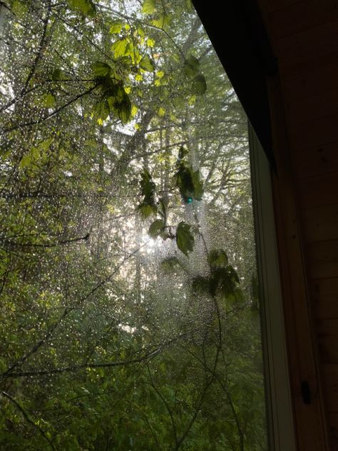 Morning Dew Aesthetic, Dewy Aesthetic, Rainy Spring Aesthetic, Fantasy Cooking, Early Spring Aesthetic, Dewy Morning, Spring Forest, Nature Spirits, Earthy Scent