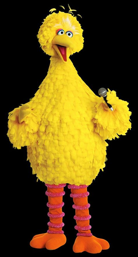 BIG BIRD Big Bird Aesthetic, Big Bird Onesie Costume, Da Biggest Bird, Jane Core, Annoying Characters, Jungle Jims, Big Bird Costume, Beaker Muppets, Muppets Characters