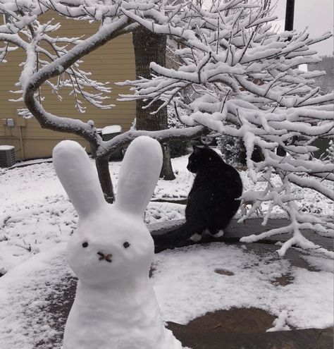 Aesthetic Snowman, Snow Sculptures, Cats Aesthetic, Snow Bunnies, Cat Icon, Character Wallpaper, Snowy Day, Winter Wonder, Cute Plush