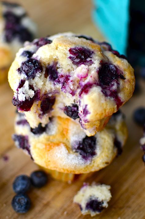 Freezer Stockpile, The Best Blueberry Muffins, Delicious Muffins, Blueberry Yogurt, Best Blueberry Muffins, Streusel Muffins, Berry Muffins, Muffin Recipes Blueberry, Homemade Muffins