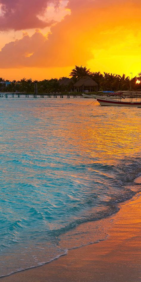 Aesthetic Phone Backgrounds, Clear Water Beach, Mayan Sun, Manifest 2024, Costa Maya Mexico, Best Cruises, Couple Cruise, Carribean Cruise, Mexican Beach