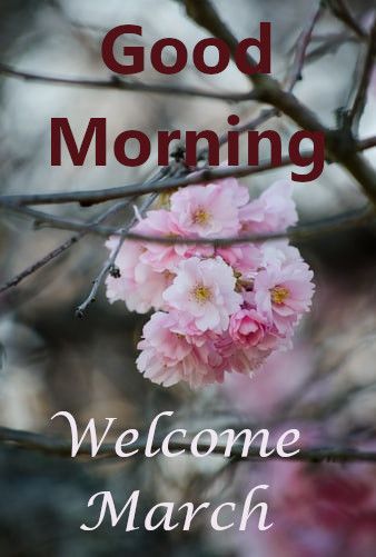 Wish You Good Morning Welcome March Images Welcome March Images, Welcome March, March Images, New Month Wishes, Hello March, Phone Wallpaper Design, Morning Wish, Good Morning Beautiful, Happy Birthday Images