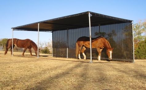 5 tips to avoid Horse Sunburn - Seriously Equestrian Horse Shade Structure, Gazebo Horse Shelter, Horse Run In Shelter Plans, Run In Shed For Horses Diy, Canopy Corner, Canopy Garage, Horse Turnout Paddock, Canopy Entrance, Terrace Canopy