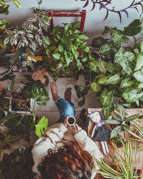 Plant Lady Photoshoot, Photo With Plants, Plant Flatlay, Pictures With Plants, Plant Dad Aesthetic, Plant Photoshoot Ideas, Photoshoot With Plants, Plant Lady Aesthetic, Plant Photoshoot