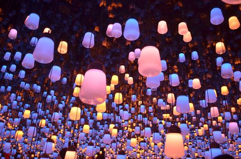 4928x3264 Wallpaper lanterns, lighting, exhibition, plafonds, light, composition, multicolored Sky Lanterns Wallpaper, Lantern Wallpaper, Sky Lantern, Sky Lanterns, Free Desktop Wallpaper, Lantern Festival, Latest Wallpapers, Lit Wallpaper, Round Light