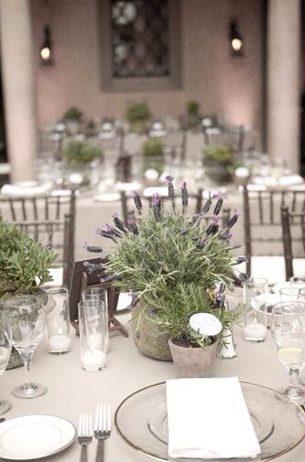 simply elegant Potted Plant Centerpieces, Lavender Potted Plant, Lettuce Celebrate, Plant Centerpieces, Egyptian Wedding, Organic Wedding, Event Planning Design, Food Table, Wedding Table Decorations