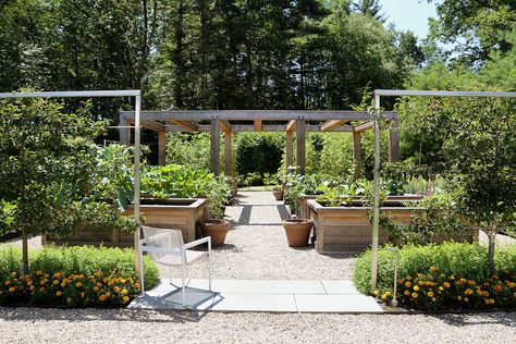 Fruit Trees edge a sunny respite with a cedar pergola and raised vegetable beds in this edible garden. Check out more ideas for your own edible garden at Offshoots, Inc. Espalier Fruit Trees, Vegetable Beds Raised, Cedar Pergola, Farmhouse Landscaping, Vegetable Garden Design, June 2024, Veggie Garden, Edible Garden, Kitchen Garden