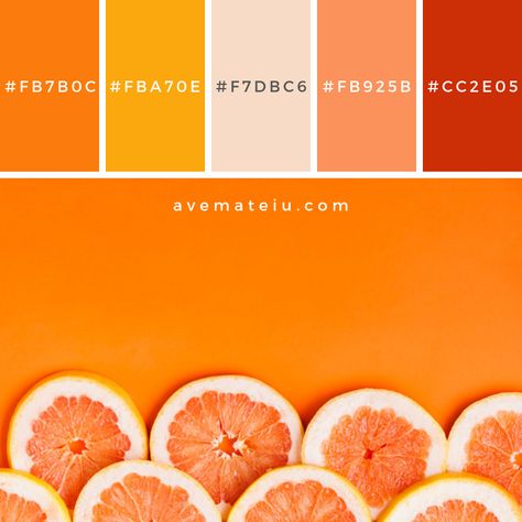 Grapefruit background with copyspace Color Palette #252 - Color combination, Color pallets, Color palettes, Color scheme, Color inspiration, Colour Palettes, Art, Inspiration, Vintage, Bright, Blue, Warm, Dark, Design, Yellow, Green, Grey, Red, Purple, Rustic, Fall, Autumn, Winter, Summer 2019, Nature, Spring, Summer, Flowers, Sunset, Sunrise, Pantone https://avemateiu.com/color-palettes/ Space Color Palette, Rgb Palette, Food Colors Palette, Yellow Palette, Orange Palette, Colour Set, Orange Color Palettes, Wallpaper Inspiration, Color Palette Yellow