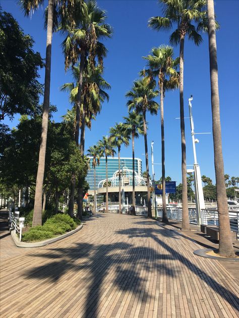 The pike - Long Beach, California Alexa + Core + Aesthetic, Cal State Long Beach Aesthetic, California Pier Aesthetic, Long Beach California Aesthetic, Longbeach California, Downtown Long Beach California, Long Beach Pike, The Pike Long Beach, Cal State Long Beach