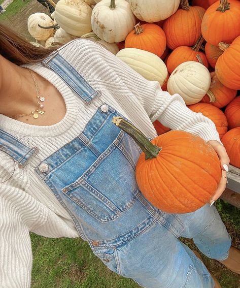 Fall Pfp, Pumpkin Patch Photoshoot, Pumpkin Patch Pictures, Fall Photo Shoot Outfits, Pumpkin Patch Outfit, Picture Inspiration, Preppy Fall, Fall Inspo, Fall Photoshoot