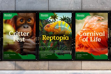 Henry Wong, Tropical Frames, Singapore Zoo, Animals And People, Wildlife Reserve, Evergreen Plants, Wildlife Park, Closer To Nature, Identity Logo